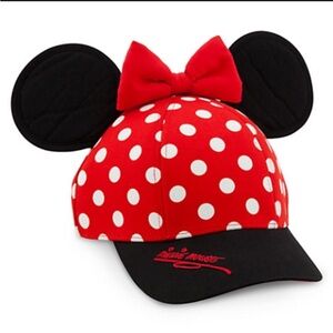Minnie Mouse Hat